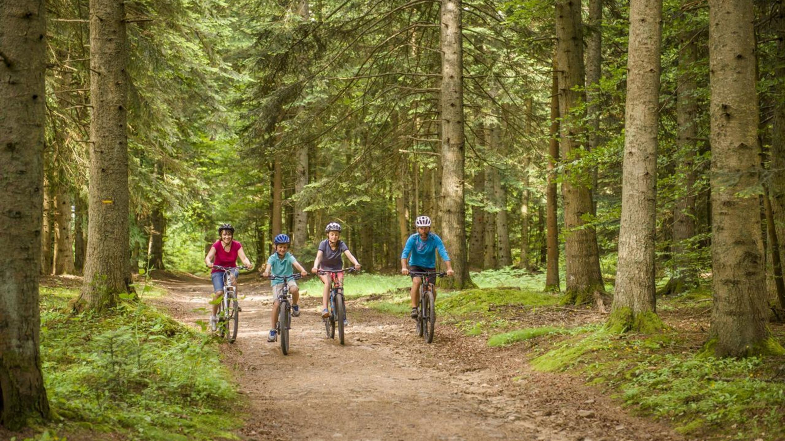 Dans les bois en famille