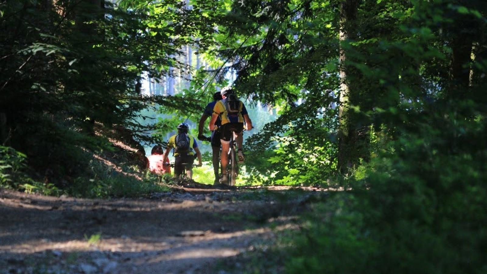 Chemin près de la Celles sur Durolle