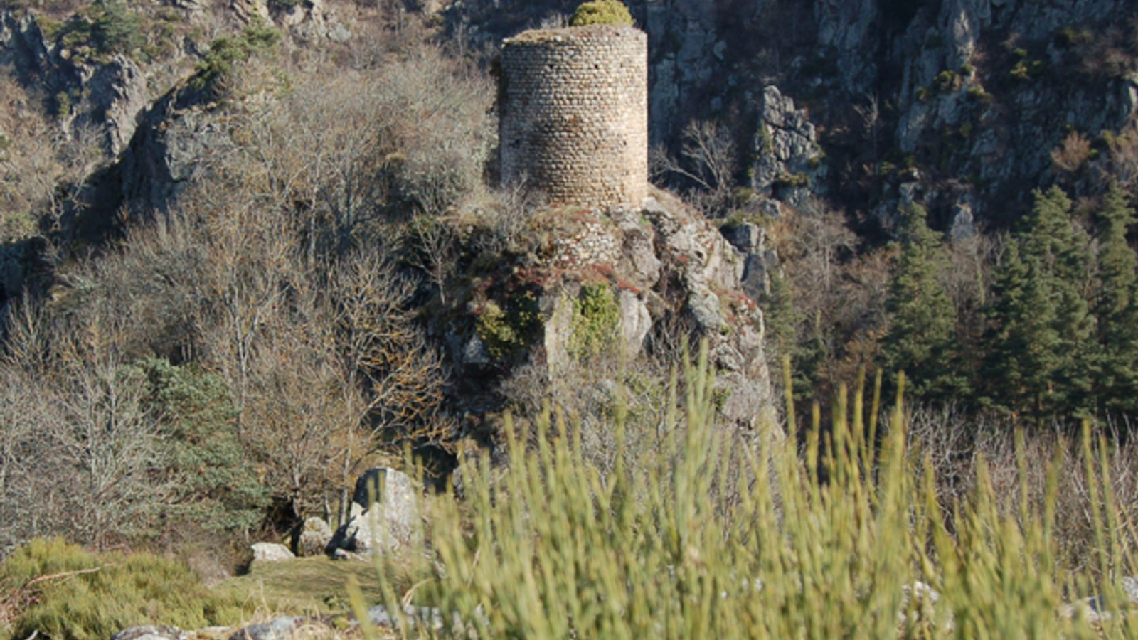 La Tour d'Oriol