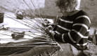 Basketry workshop / 2-day course