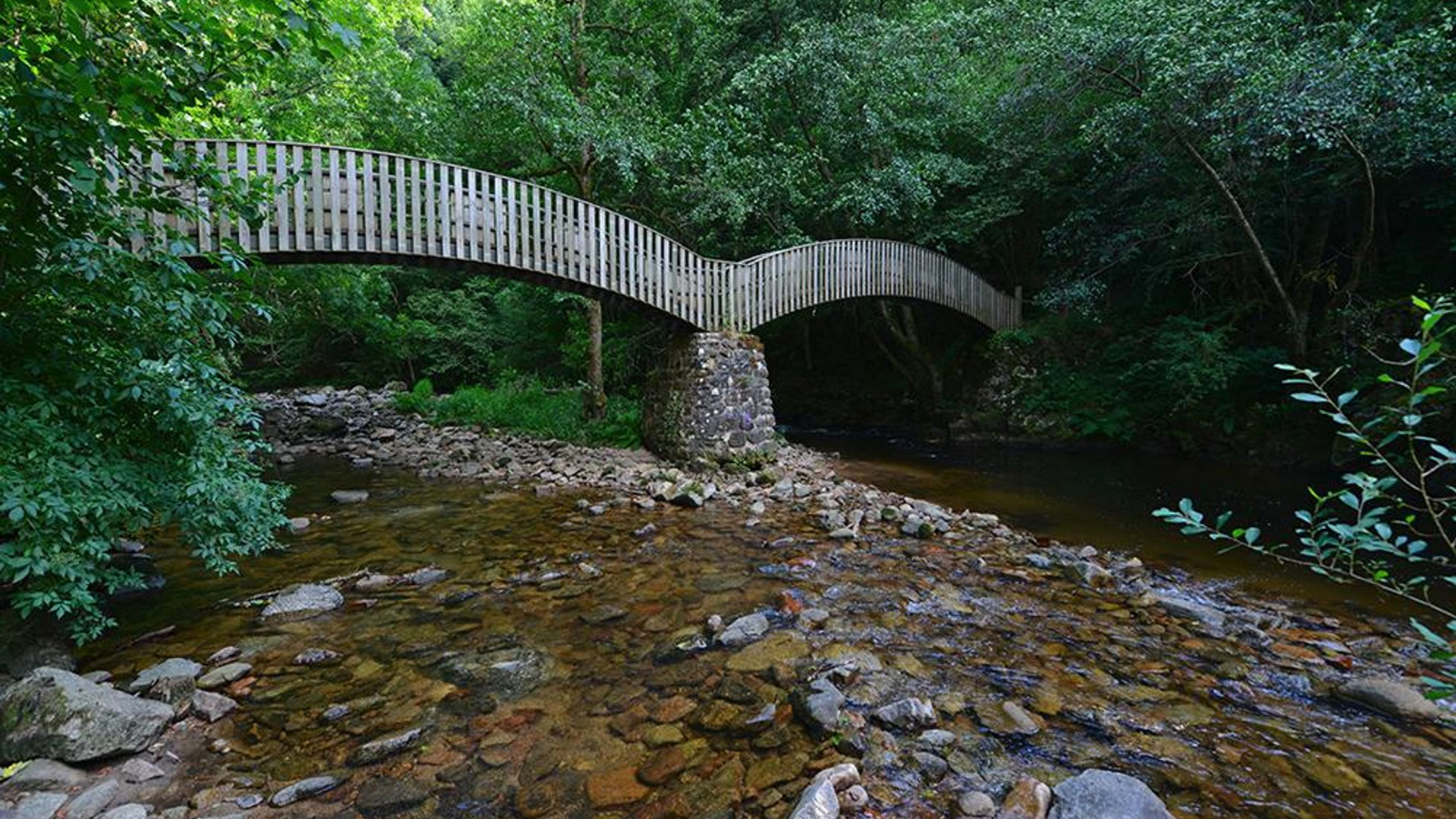 41 - Autour de la Dunière